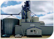 Finora Canada Ltd.