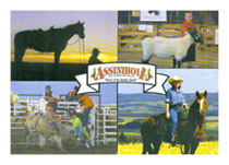 Agricultural Activities/Animals