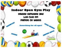 Indoor Open Gym Play