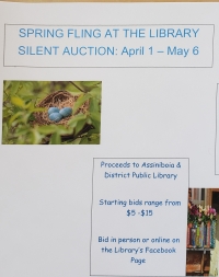 Spring Fling Library's Silent Auction