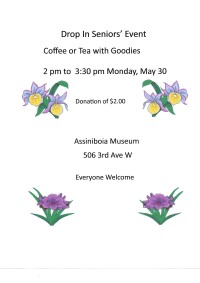 Seniors' Drop In Event