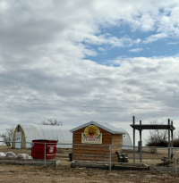 Assiniboia Community Garden Plots